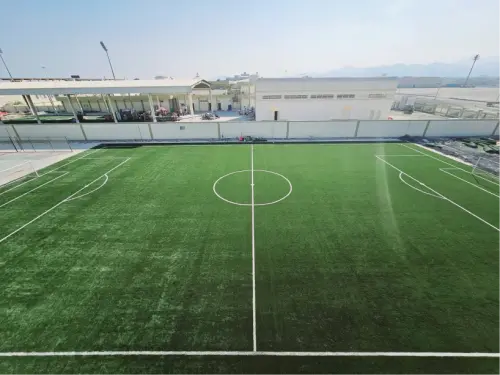 Football Field